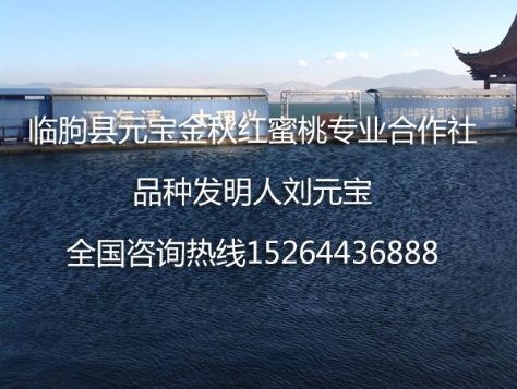 点击查看详细信息<br>标题：2014年云南大理冬季技术服务跟踪服务 阅读次数：1462