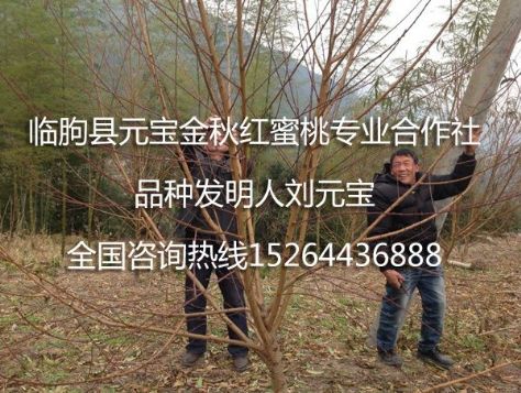 点击查看详细信息<br>标题：2014年冬季浙江丽水技术跟踪服务 阅读次数：1606