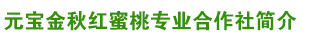 临朐县元宝金秋红蜜桃专业合作社简介